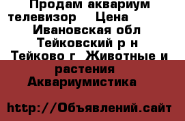 Продам аквариум телевизор. › Цена ­ 3 000 - Ивановская обл., Тейковский р-н, Тейково г. Животные и растения » Аквариумистика   